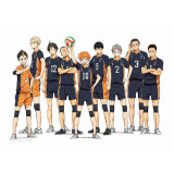 Haikyuu Karasuno High School Volleyball Club Shoyo Hinata Tobio Kageyama Cosplay Uniforms