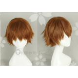 Hitman Reborn Vongola Famiglia Tsunayoshi Sawada Giotto First Boss Vongola Primo Blond Brown Cosplay Wig