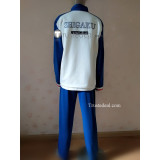 The Prince of Tennis TeniPuri Seigaku Seishun Academy Ryoma Kunimitsu Team Blue Uniform Cosplay Costume 2
