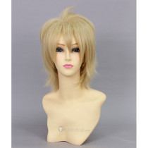 Inu x Boku SS Watanuki Banri Cosplay Wig