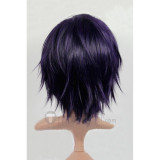 Gintama Takasugi Shinsuke Purple Cosplay Wig