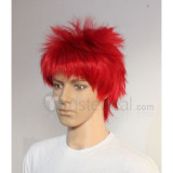 Sword Art Online Klein Red Cosplay Wig