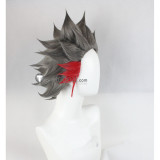 YuGiOh VRAINS Knights of Hanoi Ryoken Kogami Revolver Varis Styled Cosplay Wigs