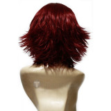 Code Geass Kallen Stadtfeld Cosplay Wig(cg40)