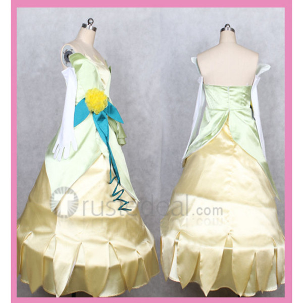 The Princess and the Frog Disney Princess Tiana Stylish Cosplay Costume