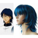 Prince of Tennis Oshitari Yuushi Cosplay Wig(FZ94)