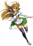 Highschool Of The Dead Rei Miyamoto Takagi Saya Cosplay Wigs