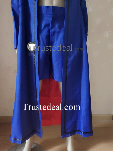 Tokyo Mew Mew Masaya Aoyama Blue Knight Blue Cosplay Costume