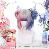 Dalao Home ~Color Split Lolita Wig