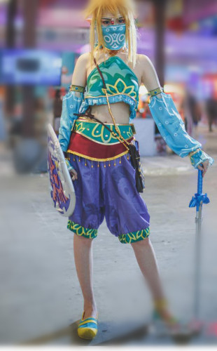 The Legend of Zelda Breath of the Wild Game Link Gerudo Female Cosplay Costume