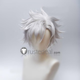 Fate Grand Order FGO Li Shuwen Kiritsugu Emiya Silver Grey White Styled Cosplay Wig