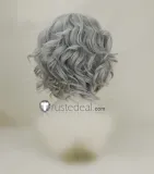 Fate Grand Order FGO Edmond Dantes The Count of Monte Cristo Silver Grey Cosplay Wig