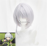 Zenless Zone Zero ZZZ HoYoverse Nicole Demara Anby Demara Pink Silver Cosplay Wigs