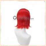 Pokemon Barry Skyla Maxie Clair Blue Red Styled Cosplay Wigs