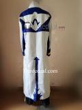 Vocaloid Kaito Cosplay Costume