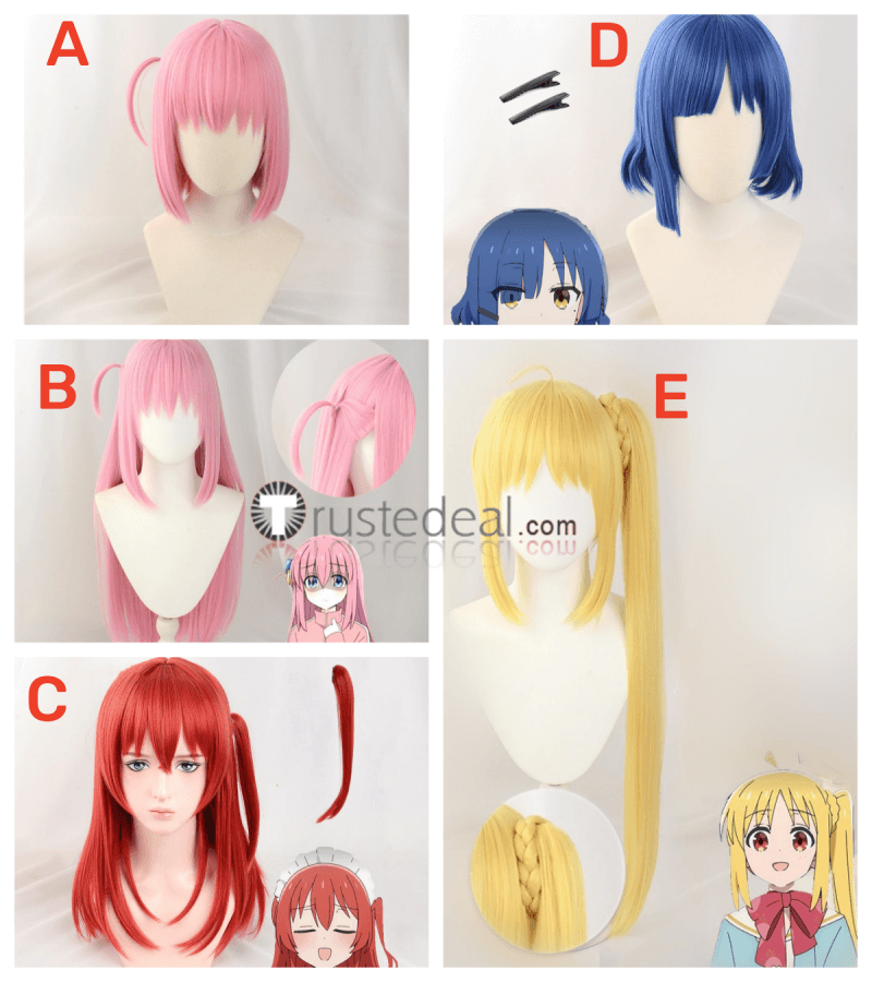 Hitoribocchi no Marumaru Seikatsu Bocchi Hitori Cosplay Wig – FairyPocket  Wigs