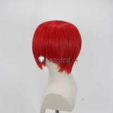 The King of Fighters KOF SNK Iori Yagami King Terry Nameless Goenitz Styled Cosplay Wigs