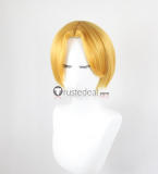 The King of Fighters KOF SNK Iori Yagami King Terry Nameless Goenitz Styled Cosplay Wigs