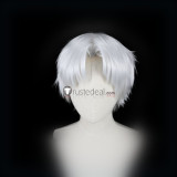 Spice and Wolf Kraft Lawrence Grey Silver White Styled Cosplay Wig