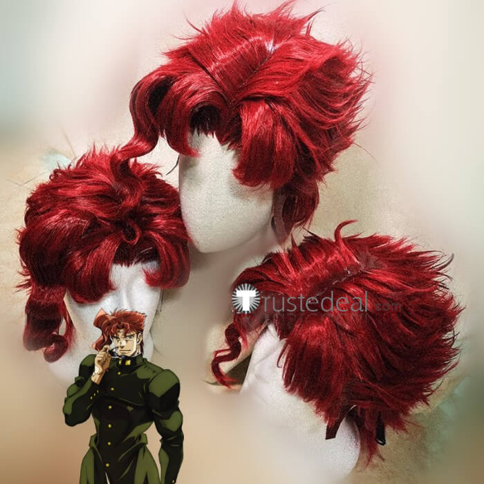 JOJO'S Bizarre Adventure Kujo Jotaro Anime Cosplay Wig – FairyPocket Wigs