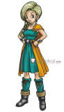 Dragon Warrior V Bianca Whitaker Cosplay Costume