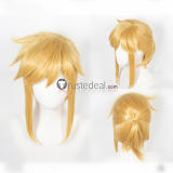 The Legend of Zelda Link Princess Zelda Blonde Cosplay Wigs