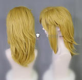 The Legend of Zelda Link Blonde Styled Cosplay Wigs