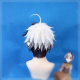 Vocaloid V Flower Silver White Black Styled Cosplay Wig