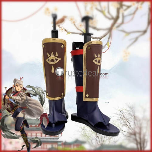 The Legend of Zelda Tears of the Kingdom Purah Impa Link Cosplay Shoes Boots