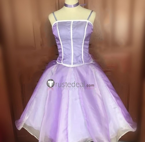 Princess Barbie Puple Long Short Dress Cosplay Costume