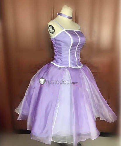 Princess Barbie Puple Long Short Dress Cosplay Costume