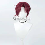 Project Charisma House Amahiko Tendo Rikai Kusanagi Fumiya Ito Ohse Minato Styled Silver Black Cosplay Wig