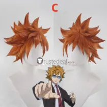 Fairy Tail The Lion Loke Leo Loki Orange Brown Styled Cosplay Wig