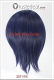 Fushigi Yuugi Tamahome Kishuku Sou Miaka Yuki Brown Blue Styled Cosplay Wig