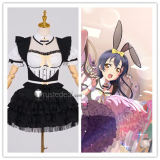 Love Live School Idol Festival 2 Miracle Live Kotori Minami Umi Sonoda Black Maid Cosplay Costume