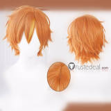 Project Sekai Aoyagi Toya Kamishiro Rui Shinonome Akito Kaito Blue Cosplay Wig