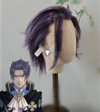 Dai Gyakuten Saiban The Great Ace Attorney Adventures Reaper of the Bailey Barok van Zieks Lace Front Cosplay Wig Purple