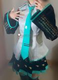 Miaowu Meow House Vocaloid Hatsune Miku Leather Cosplay Costume
