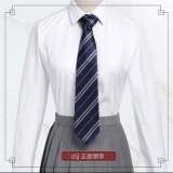 Harry Potter Stripe Necktie