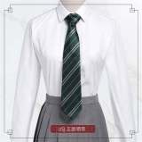Harry Potter Stripe Necktie