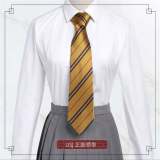 Harry Potter Stripe Necktie