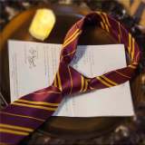 Harry Potter Stripe Necktie