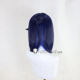Pokemon Horizons The Series Pocket Monsters Liko and Roy's Departure Liko Roy Styled Cosplay Wig