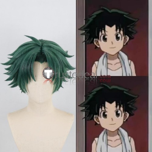 Hunter x Hunter Gon Freecss Irumi Zorudikku Green Black Styled Cosplay Wig