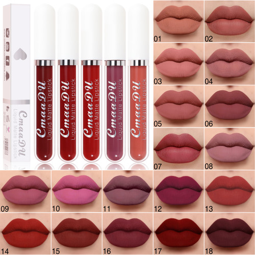 18 color matte non-stick cup waterproof lipstick long lasting lip gloss