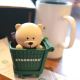 2020 Bear Stamp toy