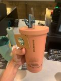 2021 Hedgehog Adventure Cactus 18oz SS Cup Tumbler
