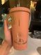 2021 Hedgehog Adventure Cactus 18oz SS Cup Tumbler