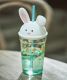 21 Autumn Maple Leaves Cute Rabbit 16oz Glass Straw Cup