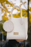 Starbucks 2021 China Christmas bag
